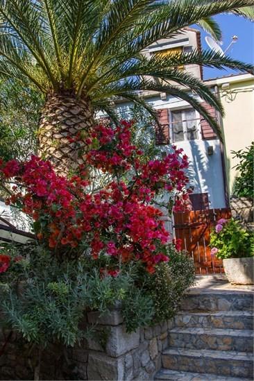 Apartment Julia Veli Losinj Exterior photo